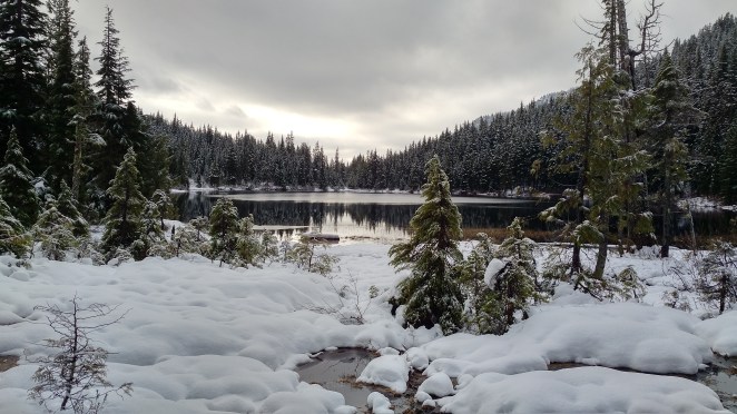 img_20161125_1205325