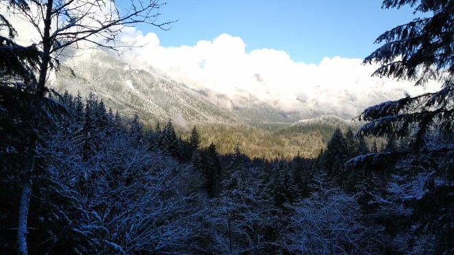 img_20161225_1137514