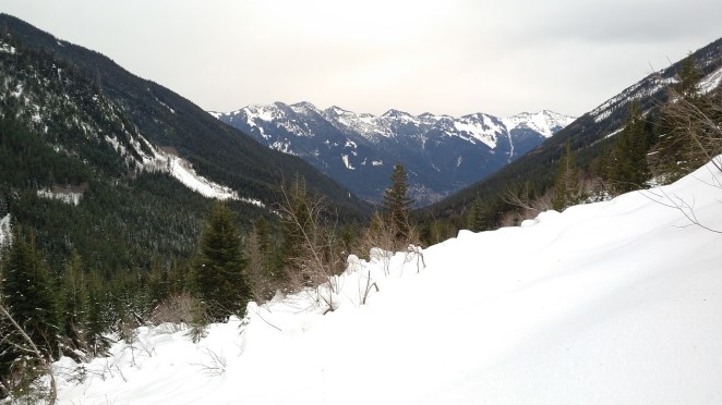 955613283690253324-account_id1