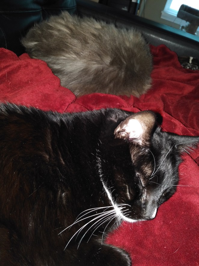 IMG_20170514_1817594