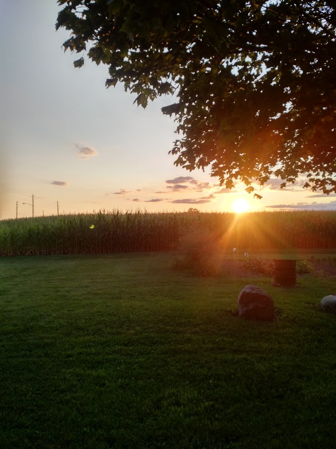 IMG_20170812_2020422