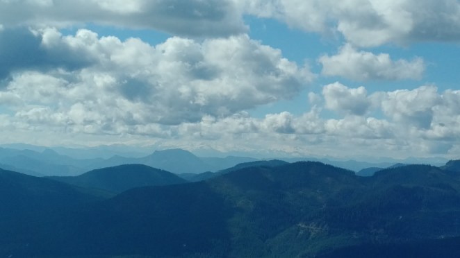 5997051375436020467-account_id=1