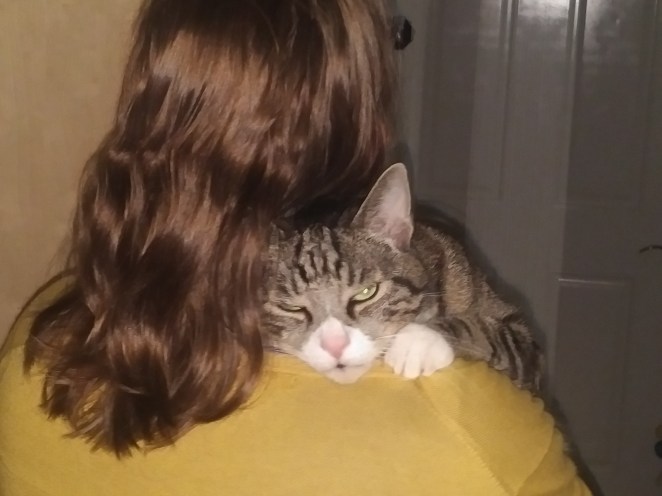 IMG_20171024_1958085