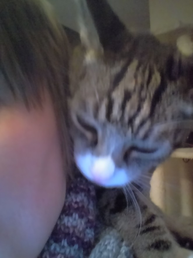 IMG_20180103_1818134