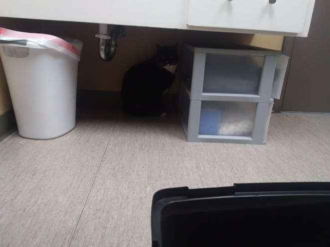 IMG_20180129_1930327