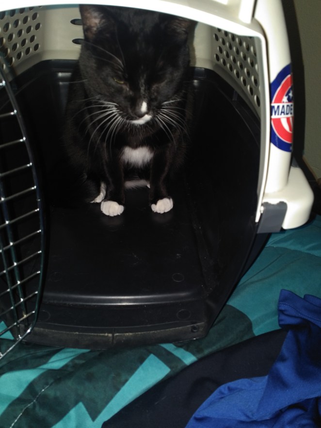 IMG_20180129_2013029