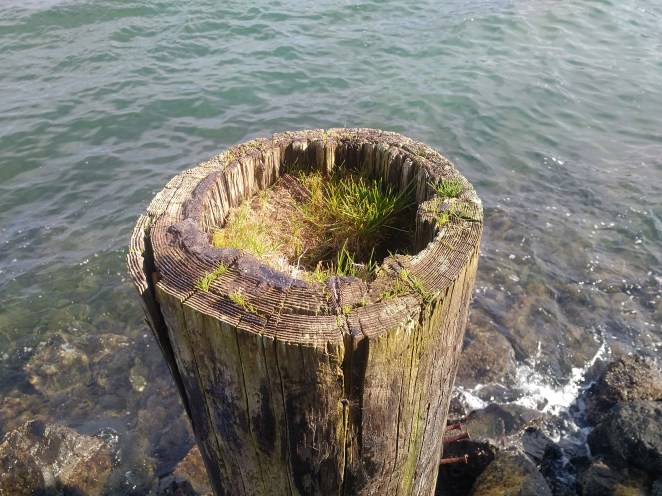 IMG_20180210_1205013