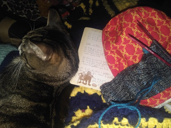 IMG_20180219_1628492