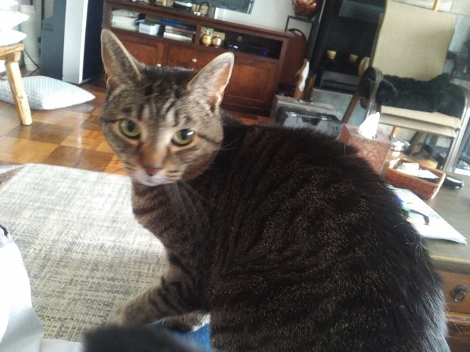 IMG_20180223_0958235