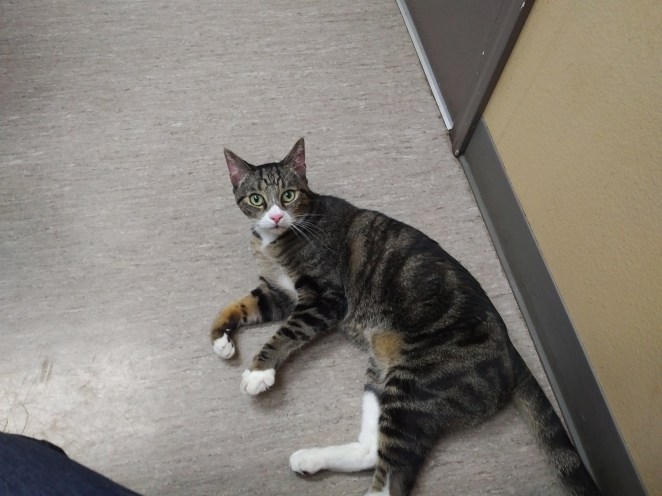 IMG_20180330_1706503