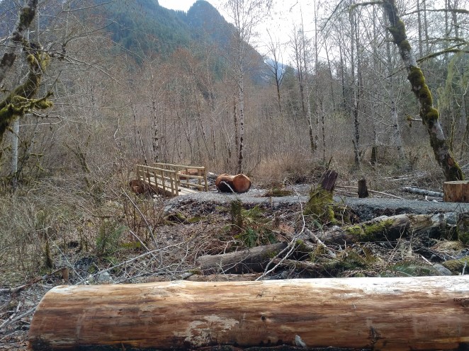 IMG_20180331_1217385