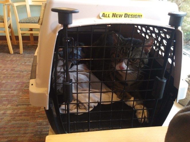 IMG_20180430_1302460