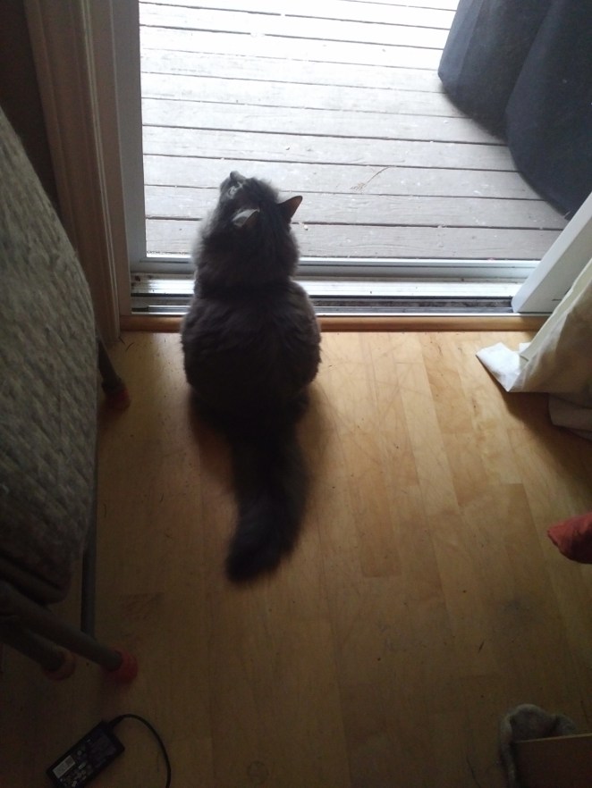 IMG_20180519_1748516