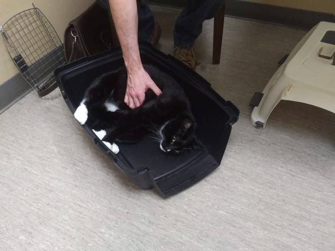 IMG_20180428_0916477