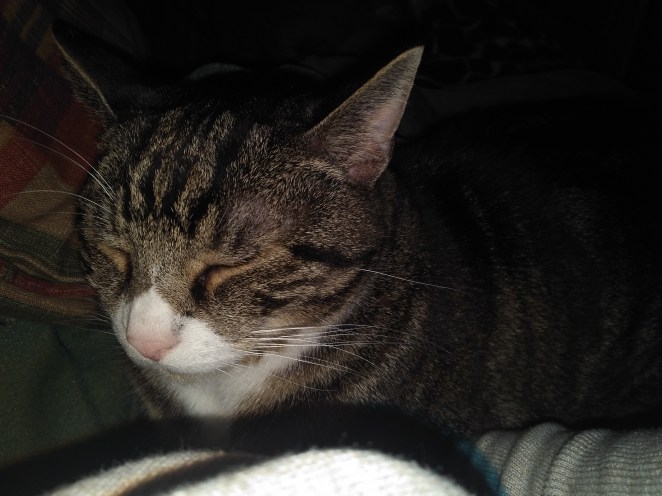 IMG_20180519_1837177