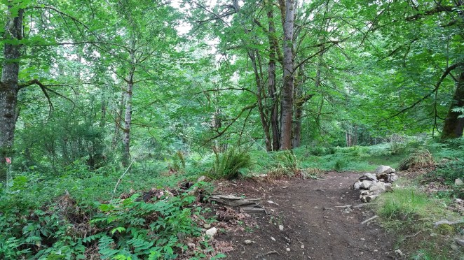 IMG_20180616_1031303 (1)