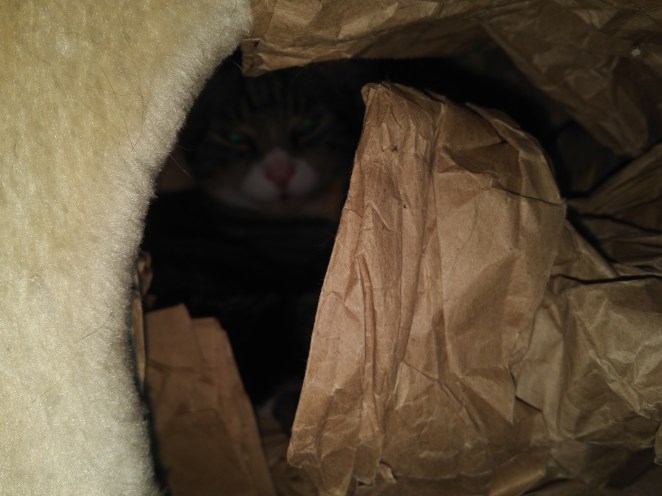 IMG_20180619_1108450