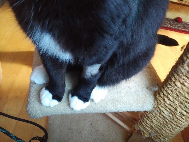 IMG_20180712_1502426