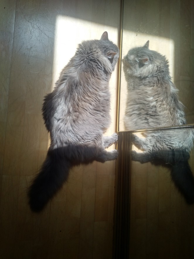 IMG_20180715_1312312