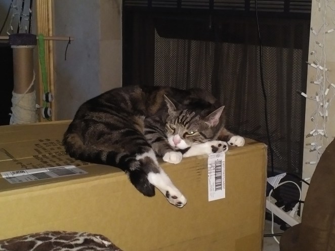 IMG_20180728_2044346