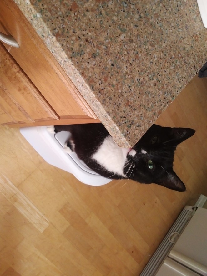 IMG_20180810_1543551