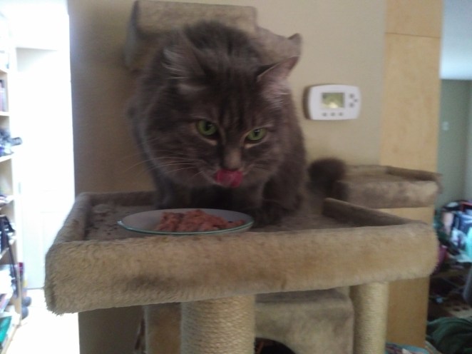 IMG_20180810_1546245