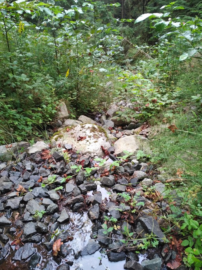 IMG_20180825_0929391