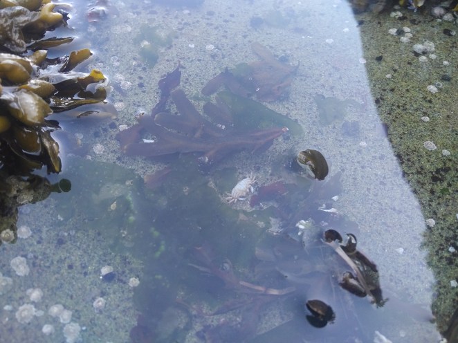 IMG_20180902_1604396