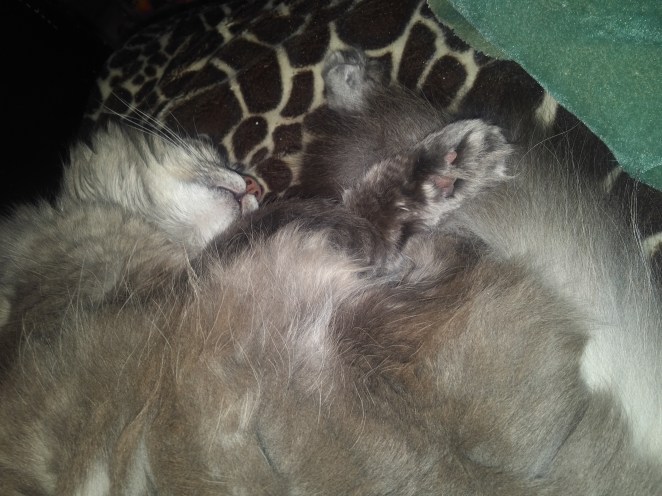 IMG_20180903_1756217