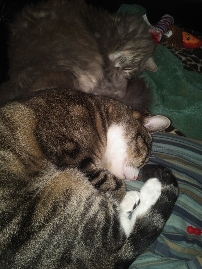 IMG_20180929_2047303