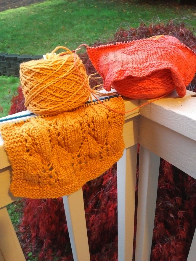 IMG_20181031_1715584