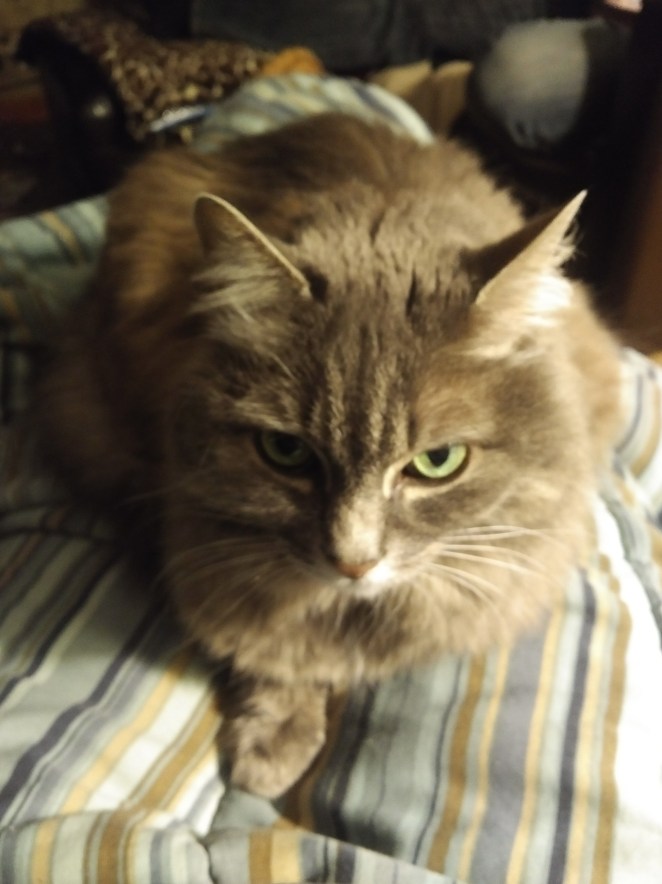 IMG_20181031_1814457