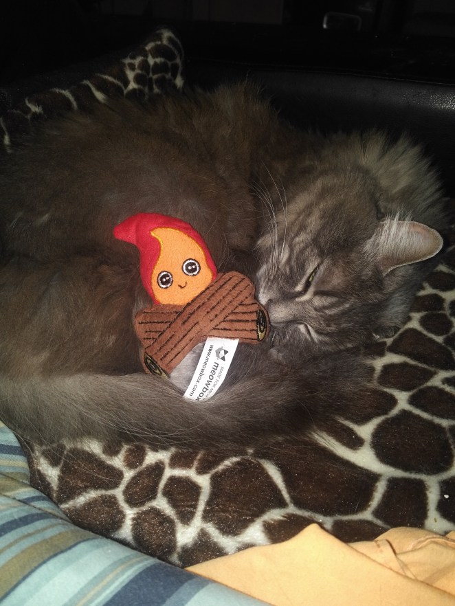 IMG_20181106_1901454